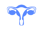 gynecology Sai Surgicals